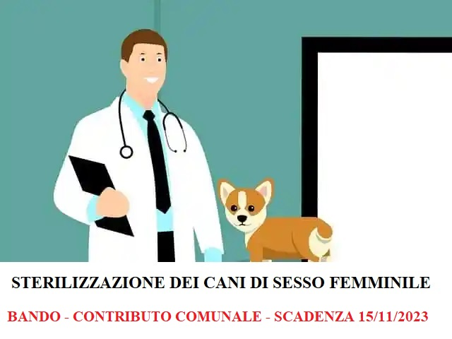 Sterilizzazione dei cani di sesso femminile