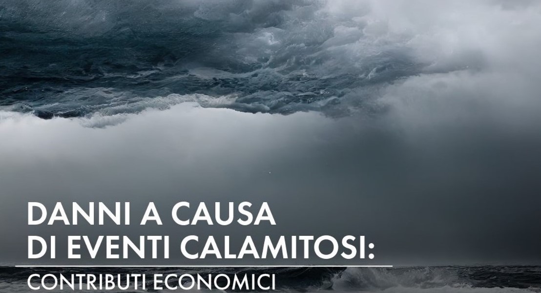 Avviso per la concessione di contributi economici per i danni occorsi in conseguenza degli eventi atmosferici del 27/10/2024 e del 23/12/2024