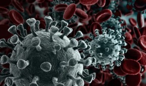 Governo Italiano - Presidenza del Consiglio dei Ministri: Coronavirus, firmato il Dpcm 8 marzo 2020