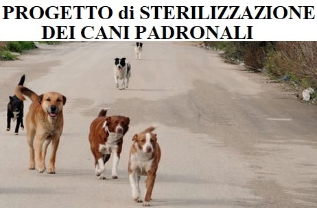 Terralba, progetto di sterilizzazione dei cani padronali - Proroga al prossimo 15/12/2020